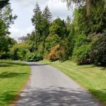 Una strada nel parco della Glenstal Abbey