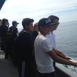 CISL San Diego Summer Camp students go whale-watching