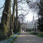 "The Avenue" of Clare College between Queen's Road and the Clare Bridge