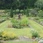 summer-boarding-courses-sbc-cambridge-clare-college-corso-programma-estivo-business-affari-leadership-relazioni-internazionali-giurisprudenza-medicina-ragazzi20