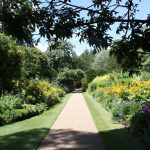 summer-boarding-courses-sbc-cambridge-clare-college-corso-programma-estivo-business-affari-leadership-relazioni-internazionali-giurisprudenza-medicina-ragazzi5