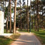 La Pineta di Lignano Sabbiadoro
