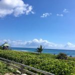 Red Reef Park in Boca Raton, Florida