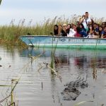 LAL Boca Raton Summer School students go crocodile watching