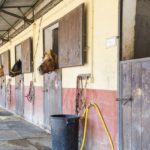 The stables at Casal Cerqueto