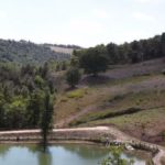 The small fishing lake at Casal Cerqueto