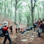 Alphabet Outdoor Exploration Camp students go hiking in the woods