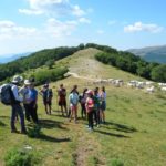 Alphabet Outdoor Exploration Camp students go hiking in the Umbrian hills