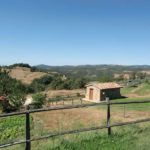 The vegetable garden at Agrincontri