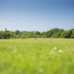 Sevenoaks School sports pitch