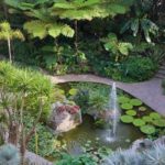 I giardini Mortella di Ischia