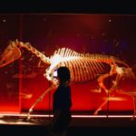 Gli studenti della friLingue Schwarzsee Summer Camp visitano un museo