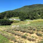 La vista dalla Cascina il Faggio