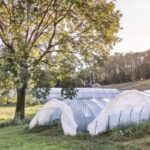 La serra della Cascina il Faggio