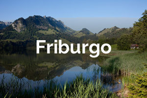 Friburgo Featured Image
