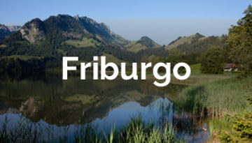Friburgo Featured Image