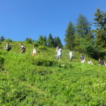 Gli studenti della CERAN Juniors Svizzera in un'escursione 