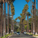 Beverly Hills Street