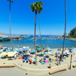 Catalina Island