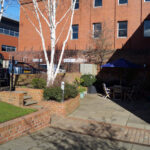 Il giardino e il parcheggio della scuola Kingsway