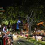 Las Olas Boulevard at Night