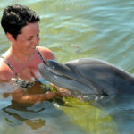 A TLA student swims with dolphins