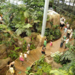 La giungla amazzonica nello zoo di Montpellier