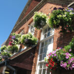 BEET's famous hanging baskets. The school has been the winner of the "Bournemouth in Bloom" competition multiple times.