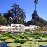 Beverly Hills Gardens