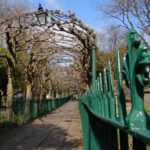 The Birdcage Walk in Clifton, Bristol