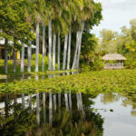 The Bonnet House garden in Fort Lauderdale