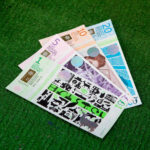 Bristol Pounds, England's only city-wide currency