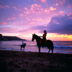 ESE Malta adult school horseback riding