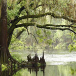 Everglades National Park