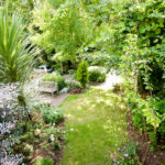 The Excel English school garden