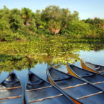 Hugh Taylor Birch State Park near Ft Lauderdale