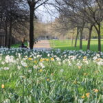 Hyde Park and Kensington Gardens