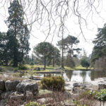 The Botanical Gardens of Cambridge University