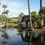La Brea Pits 