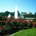Rose Garden inside the Exposition Park