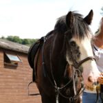 St Clare's students go horseback riding