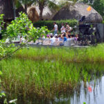 TLA students set off on a cruise in the Florida Everglades
