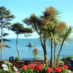 Torquay Meadfoot to Berry Head