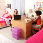 Twin room in the De Hirsch Residence, New York