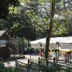 Cafè in the Bournemouth Gardens
