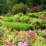 Streamside at RHS Garden Harlow Carr, Harrogate