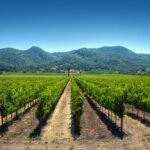 California's Napa Valley outside San Francisco