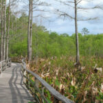 Everglades National Park