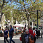 Place Jean Jaurès Montpellier, one of the many squares in the city center