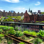 The New York City High Line